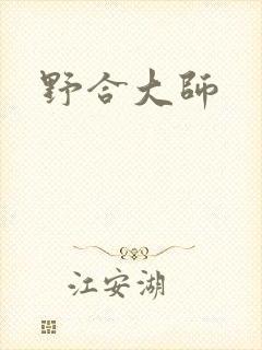 野合大师封面