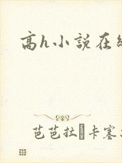 高h小说在线看