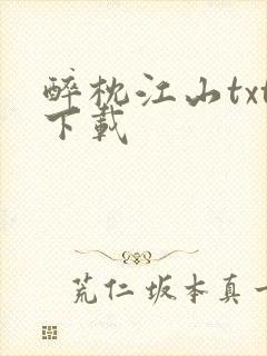 醉枕江山txt下载