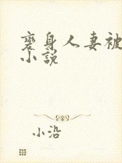 变身人妻被调教小说封面