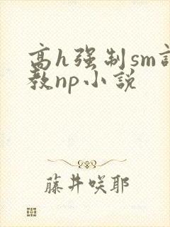 高h强制sm调教np小说