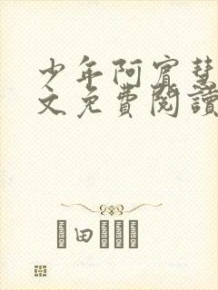 少年阿宾慧钰全文免费阅读