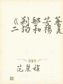 《刹那芳华》安二狗和杨美玲封面