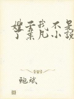 嫂子我不是傻子了叶凡小说免费阅读
