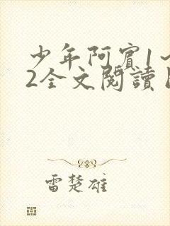 少年阿宾1～72全文阅读目录