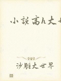 小说高h大奶