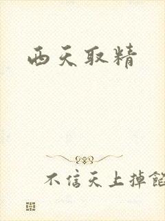 西天取精封面