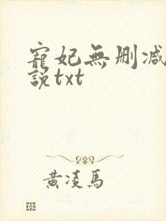 宠妃无删减版小说txt