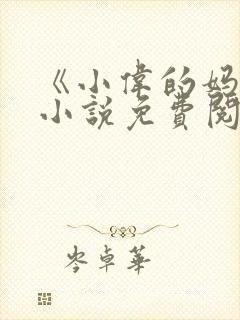 《小伟的妈妈》小说免费阅读