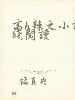 高h辣文小说在线阅读