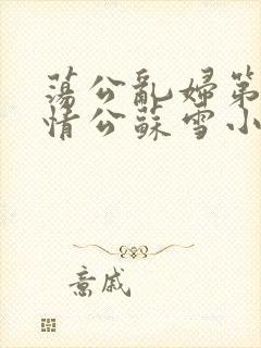 荡公乱妇第1章情公苏雪小说封面