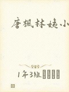 唐枫林姨小说