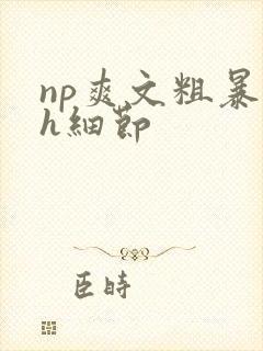 np爽文粗暴高h细节