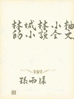 林城林小柚父女的小说全文阅读