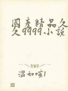 国产精品久久久久9999小说