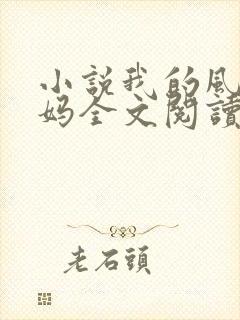 小说我的风流妈妈全文阅读