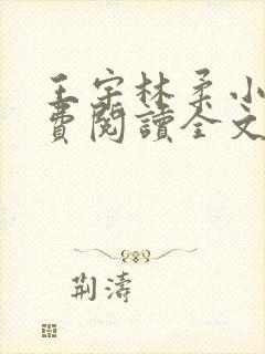 王宇林柔小说免费阅读全文最新章节封面
