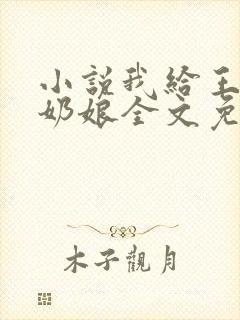 小说我给王爷当奶娘全文免费阅读封面