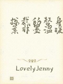 总裁的替身前妻叶非墨温暖
