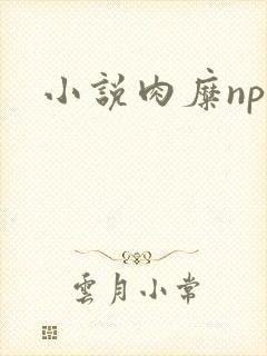 小说肉糜np