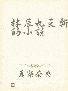 林辰九天斩神诀的小说