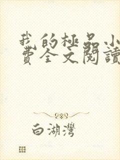 我的极品小姨免费全文阅读