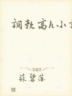调教高h小说封面