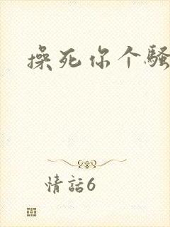 操死你个骚货h