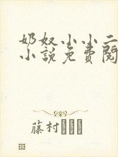 奶奴小小二皇子小说免费阅读