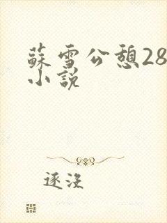苏雪公憩28篇小说