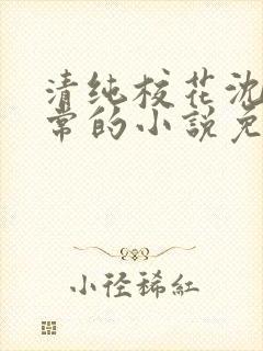 清纯校花沈柔日常的小说免费阅读封面