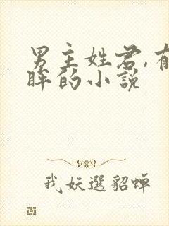 男主姓君,有紫眸的小说
