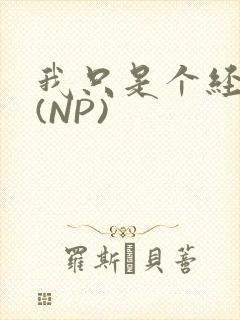 我只是个经纪人(NP)封面