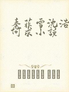 秦菲雪沈浩一生何求小说