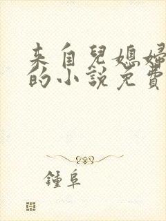 来自儿媳妇的爱的小说免费阅读全文