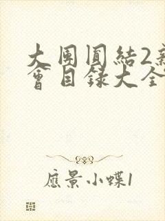大团圆结2亲情会目录大全免费阅读