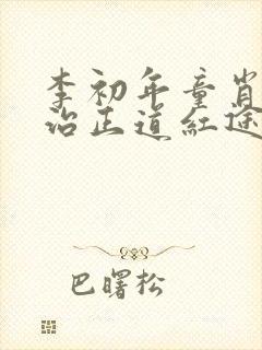 李初年童肖媛政治正道红途封面