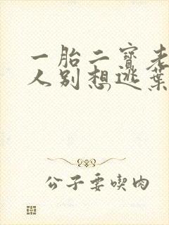 一胎二宝老婆大人别想逃叶南弦沈蔓歌