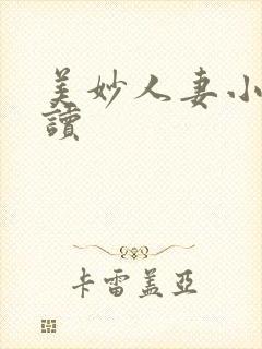 美妙人妻小说阅读封面