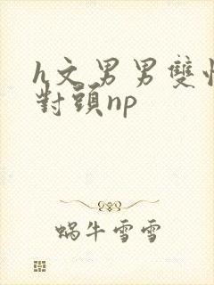h文男男双性死对头np