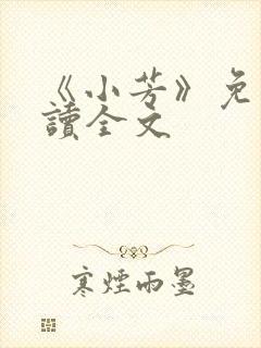 《小芳》免费阅读全文