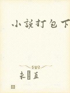 小说打包下载