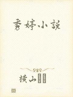 秀婷小说封面