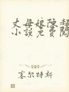 丈母娘陈超赵悦小说免费阅读