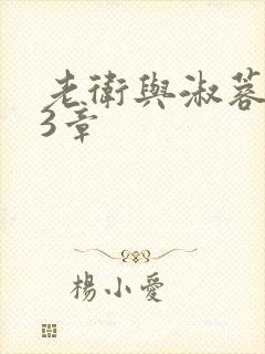 老卫与淑蓉第13章封面