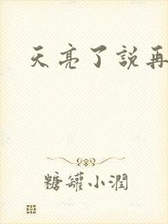 天亮了说再见封面