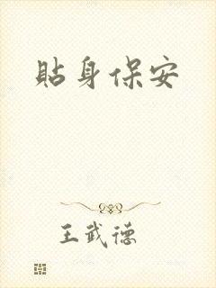 贴身保安封面