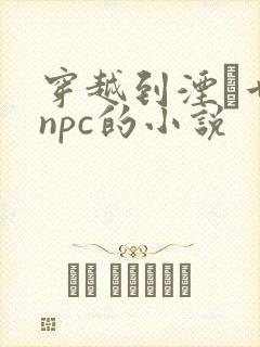 穿越到湮婸世界npc的小说