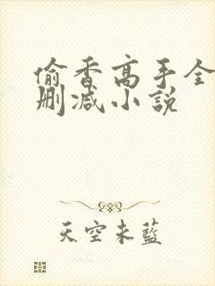 偷香高手全文无删减小说