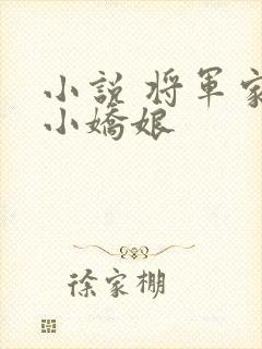 小说 将军家的小娇娘